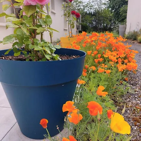 La Galerne Vendégház