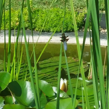 Vendégház La Galerne