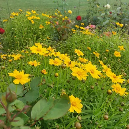 Vendégház La Galerne 3*