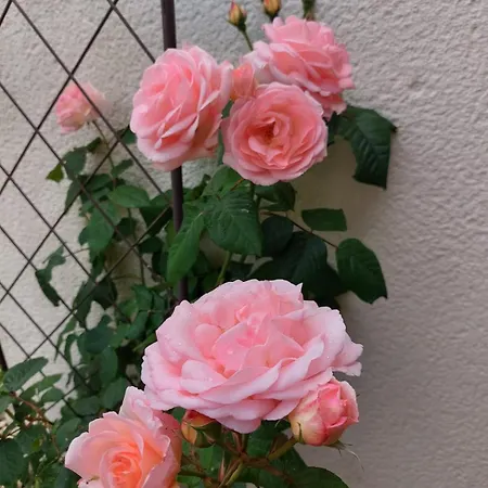 La Galerne 3* Neuville-du-Poitou