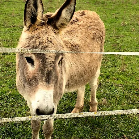 Pensión La Galerne 3*