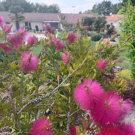 Vendégház La Galerne Neuville-du-Poitou