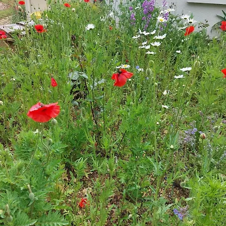 Vendégház La Galerne