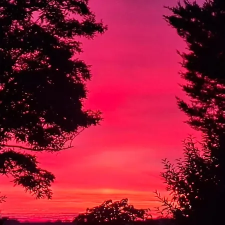 La Galerne Neuville-du-Poitou