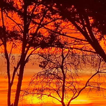 Pensión La Galerne Neuville-du-Poitou