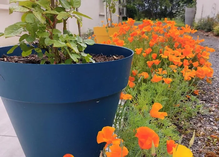 La Galerne 3* Neuville-du-Poitou